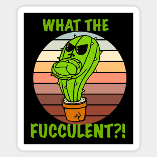 What the Fucculent Cacti Magnet